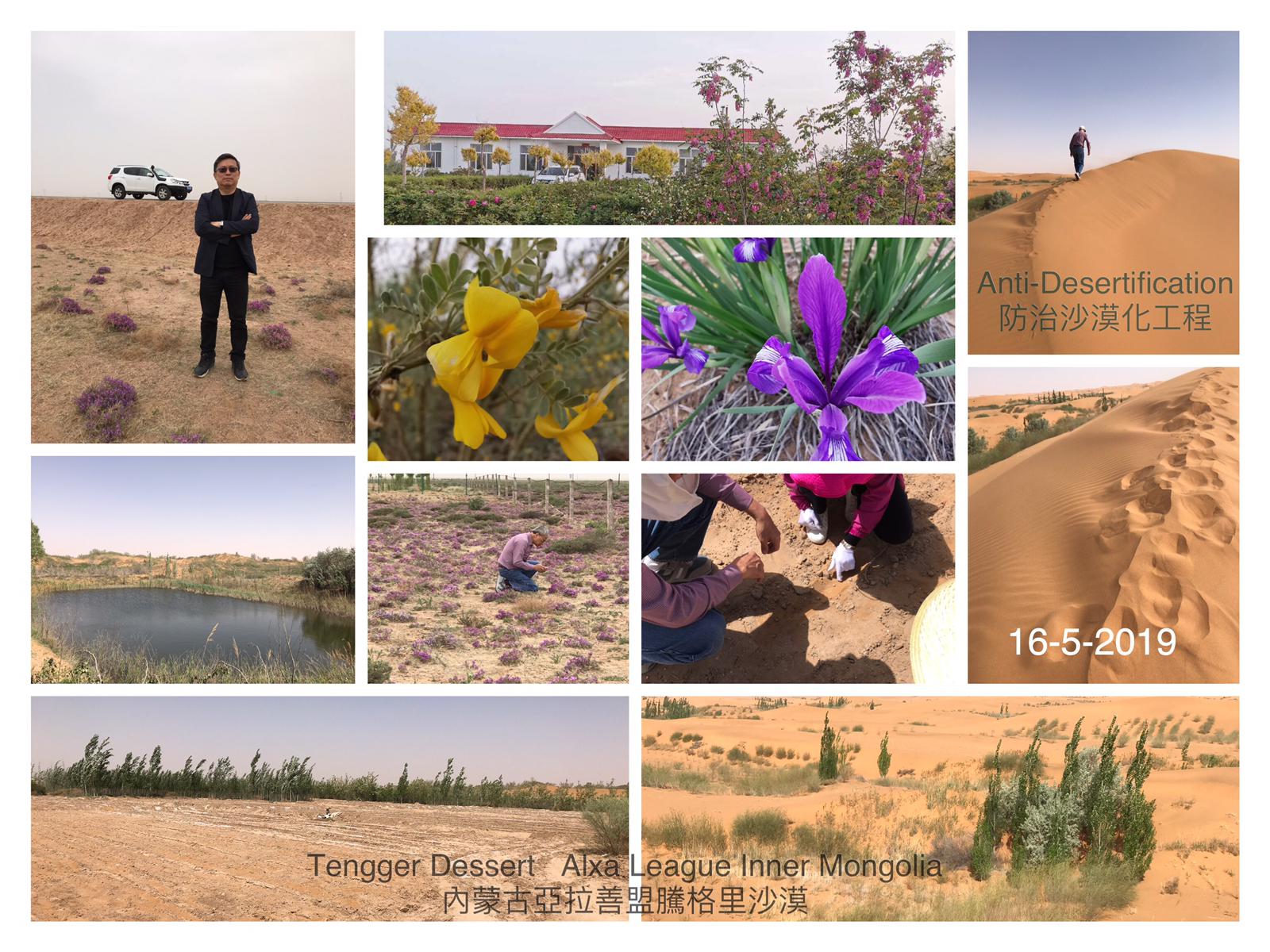 photo sharing from the Tengger Desert, Alxa league, Inner Mongolia trip